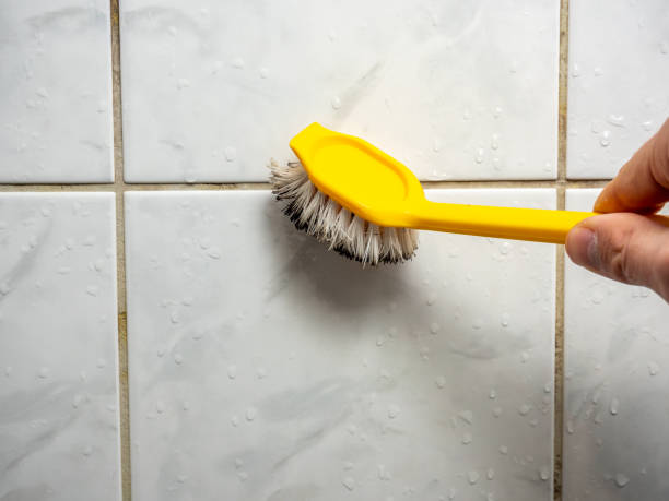 Best Residential Mold Removal  in Holland, TX