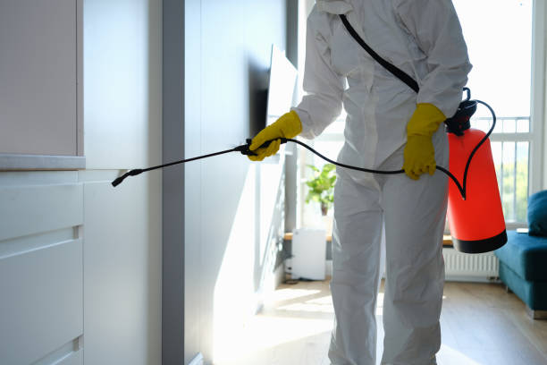 Certified Mold Removal in Holland, TX