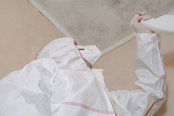 Best Home Mold Removal  in Holland, TX